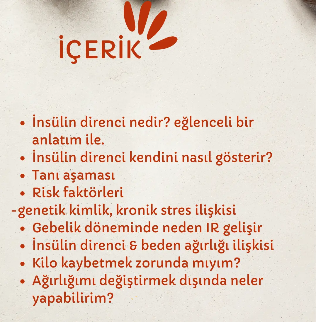 İnsülin Direncinde Nazik Beslenmesi